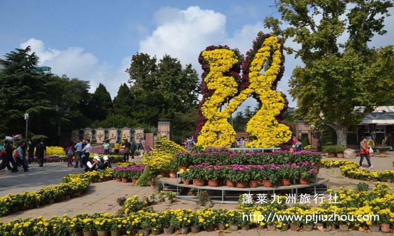 【純玩團，青島浪漫櫻花】一日游 60元/人