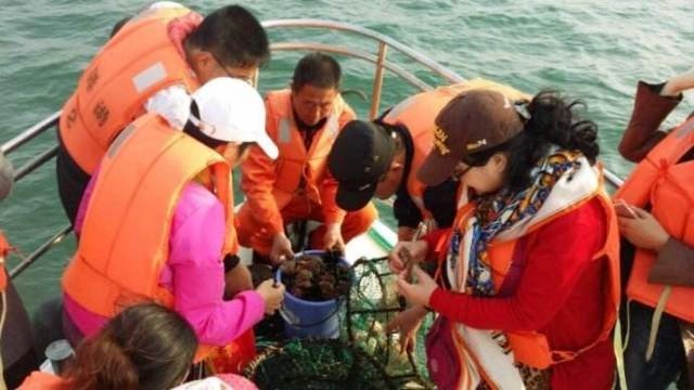 【長(cháng)島釣魚(yú)島深度體驗】一日游  280元/人